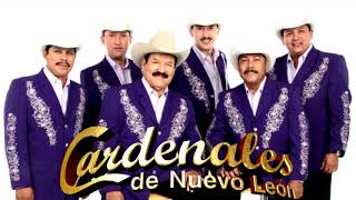 LOS CARDENALES DE NUEVO LEON  MIX  LOS MEJORES EXITOS PARA BAILAR VOL 1 [upl. by Okajima]