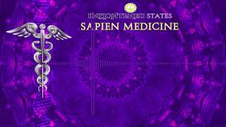 Core Strengthening by Sapien Medicine EnergeticallyMorphic Programmed Audio [upl. by Arymat148]