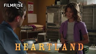 Heartland  Season 8 Episode 8  The Family Tree  Full Episode [upl. by Turino543]