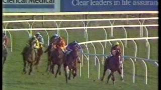 1987 Hennessy Cognac Gold Cup Handicap Chase [upl. by Kleeman409]