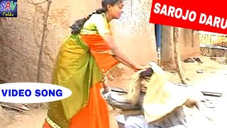 Sarojo Daru Sese Banjara Folk Song  Naavaleri Chwari Album [upl. by Atikahs]