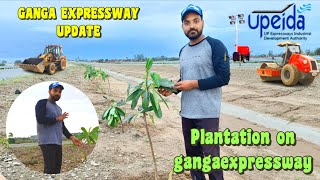 Ganga Expressway Current Status Plantation on Ganga Expressway [upl. by Norra]