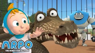 Arpo the Robot  KIDS ZOO TRIP MORE FULL EPISODES  Compilation  Funny Cartoons for Kids [upl. by Annoid]