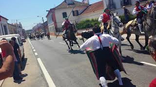 ENTRADA DE TOUROS  ASCENSÃO 2018 CHAMUSCA [upl. by Aenej]