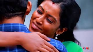 Bharathi kannama 💞serial song full ❤️like amp subscribe pannunga [upl. by Eimmis]