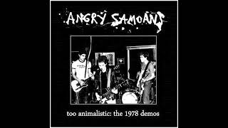 Angry Samoans 1978 Demo FULL ALBUM [upl. by Kosak]