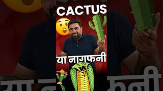 Cactus या नागफनी  🤔🤔 [upl. by Amandie]