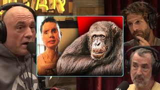 Travis The Menace “Americas Most Notorious Chimp”  Joe Rogan [upl. by Talbott]