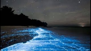 Maldives Beach Looks Like Starry Night Sky HD 2024 HD [upl. by Peonir822]