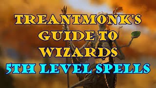 Treantmonks Guide to Wizards 5th level spells [upl. by Othella]