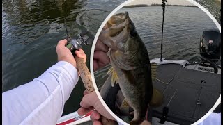 Winter Haven Chain Bass Fishing Tournament [upl. by Allez]