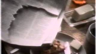 August 1995 Commercials Part 71 [upl. by Manno]