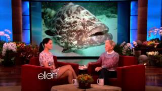 Jennifer Lawrence  The Ellen DeGeneres Show  Full interview HD [upl. by Ahsha]