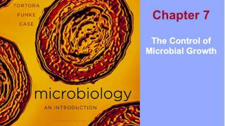 Microbiology Chapter 7 Part 1 of 1 [upl. by Innavoig]