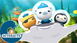 Octonauts  Exploration estivale de la mer  Dessins animés pour enfants [upl. by Nerreg]