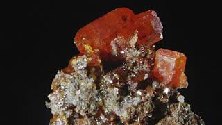 Wulfenite Red Cloud Mine La Paz County Arizona USA  Macro Mineral Exploration [upl. by Novoj]