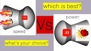 177 vs 22 which caliber is better  Impossible question [upl. by Leonsis]