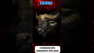 Büffel Chinesisches Horoskop für 2025 [upl. by Ahsinan]