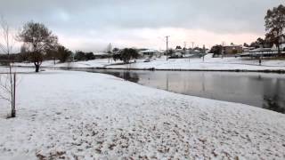 Thick Snow Blankets Stanthorpe Queensland Australia [upl. by Letnahc]