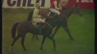 1988 Heidsieck Dry Monopole Handicap Chase  Liverpool 08041988 [upl. by Roley57]