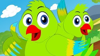 Main Tota Main Tota मैं तोता मैं तोता Hindi Nursery Rhymes for Babies [upl. by Atihana]