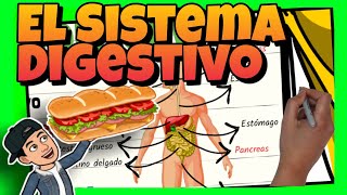 🥝 El SISTEMA DIGESTIVO del CUERPO HUMANO para NIÑOS de PRIMARIA [upl. by Aym280]