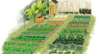 Les principes de la rotation des légumes au potager [upl. by Rebane351]