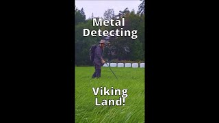 Viking treasure found with a metal detector in Finland 🇫🇮 metaldetecting viking treasure [upl. by Danette672]