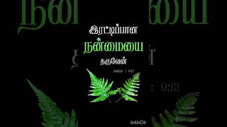 Early morning Jesus Bible Verses Tamil tamilchristiansongs morningprayer morning [upl. by Brandi20]