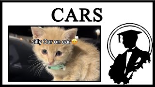 Why Are Cats Still Called Cars [upl. by Atiuqal]