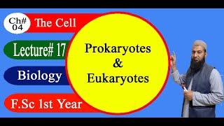 Biology Ch04Lecture17 Difference between prokaryotes amp eukaryotes FSc 1st Year [upl. by Nevaed]