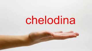 How to Pronounce chelodina  American English [upl. by Aleibarg]