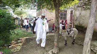 students of islamia school Juloose mohammadi [upl. by Stacy]