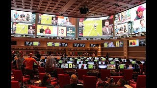 Newlyrenovated Wynn Las Vegas sportsbook combines excitement technology and  of course  luxury [upl. by Jessamyn154]