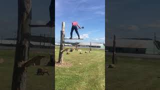 The East Coast Lumberjack Tree Surfing in Saint John NB [upl. by Eelaras]