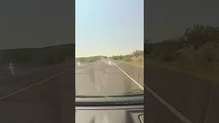 Close call with a giant buzzard driving through Big Bend TX texas crash birds nationalpark car [upl. by Alleacim]