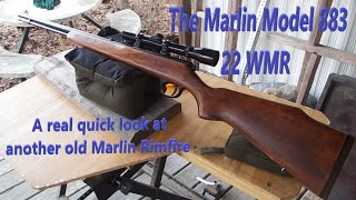 Marlin 883  A real quick look [upl. by Annaert642]