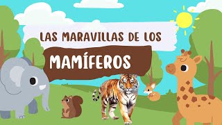 Los mamíferos para niños  videos educativos para niños [upl. by Kinimod287]