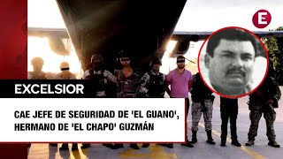 Cae jefe de seguridad de El Guano hermano de El Chapo Guzmán [upl. by Earized]