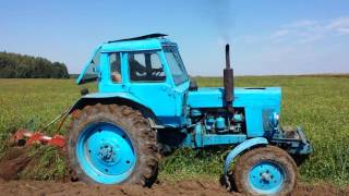 Belarus MTZ80 ploughing with Kverneland 3 furrow plow 2016 [upl. by Caryl277]