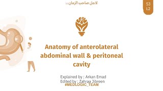 GIT\ S3L2 \ Anterolateral Abdominal Wall \ Peritoneum \part II [upl. by Freud687]