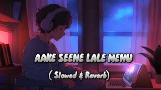 Aake Seene Lale Menu Ringtone  SlowedReverb  Emosonal Ringtone [upl. by Piers]