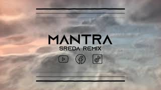 Rasta  Mantra SREDA Remix [upl. by Aihtniroc]