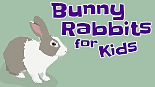 Bunny Rabbits for Kids [upl. by Tanaka886]