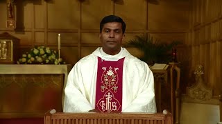 Catholic Mass Today  Daily TV Mass Wednesday May 15 2024 [upl. by Ilonka]