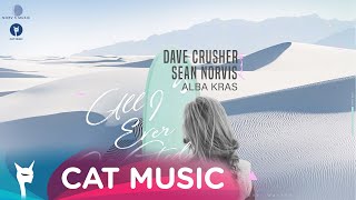 Dave Crusher amp Sean Norvis feat Alba Kras  All I Ever Wanted Lyric Video [upl. by Laemaj197]