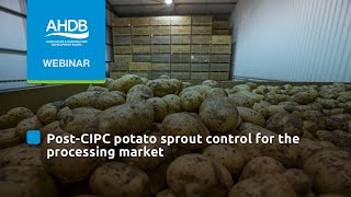 Webinar PostCIPC potato sprout control for the processing market [upl. by Ailey728]