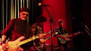 Flamin Groovies  Married Woman 2013 San Francisco [upl. by Einnahpets890]