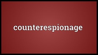 Counterespionage Meaning [upl. by Meares]