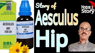 Story Aesculus Hip Patient hoquecountrystory [upl. by Theadora]